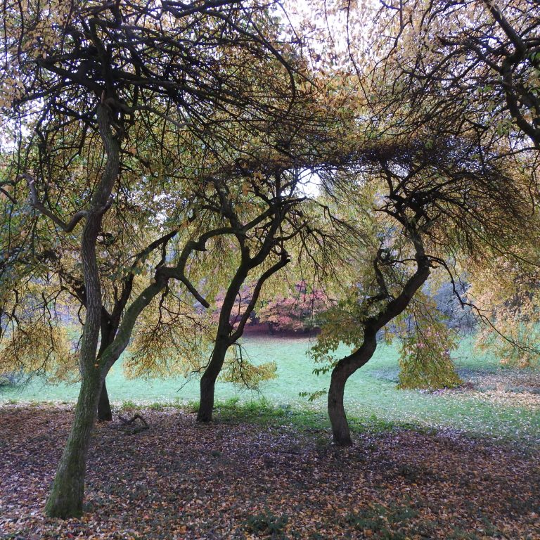 Winkworth (DSCN7424)